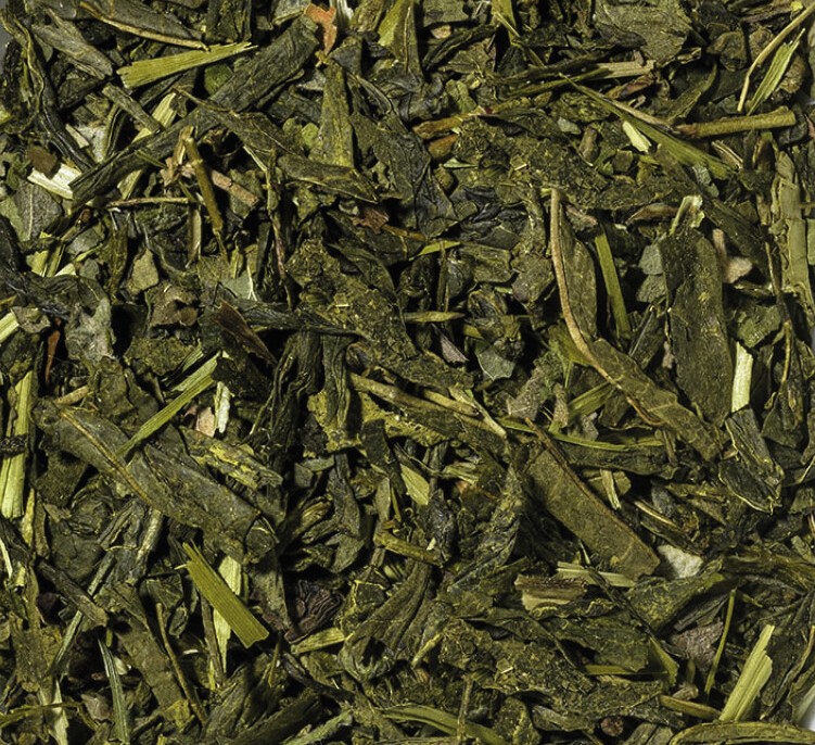 34002 Grüne Farbenfreude