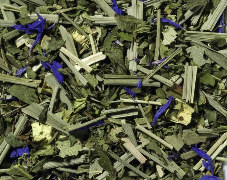 72005 Fühl dich befreit