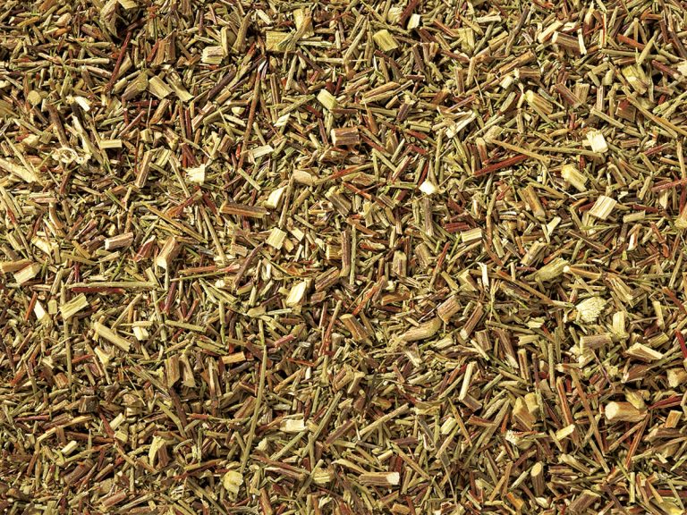 51002 Rotbusch grün