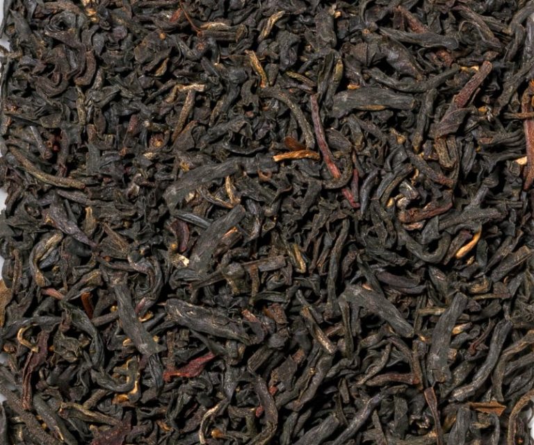 12010 Chardwar Flugtee '25