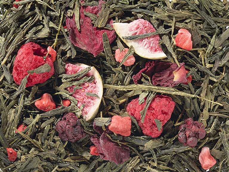 33008 Feige Beere Sencha