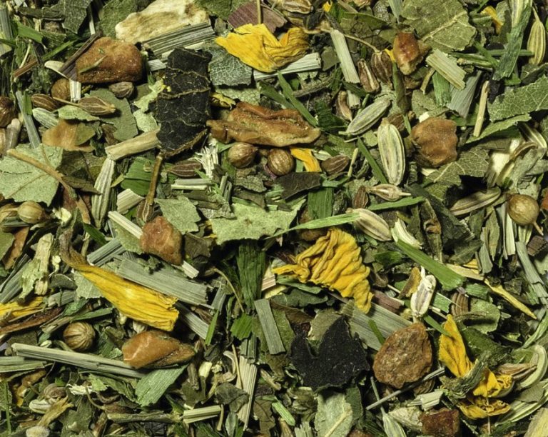 72006 Fühl dich rein