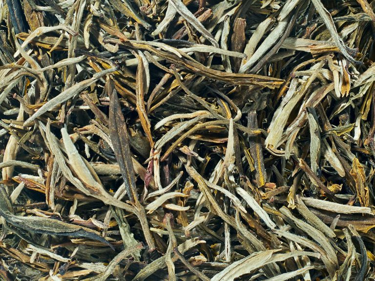 41001 Huang Ya Yellow Tips