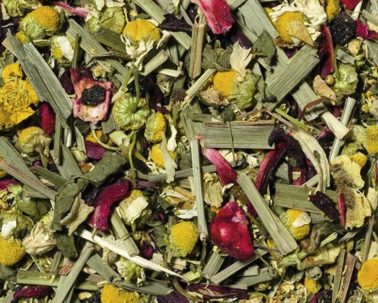 72004 Beerenkräuter