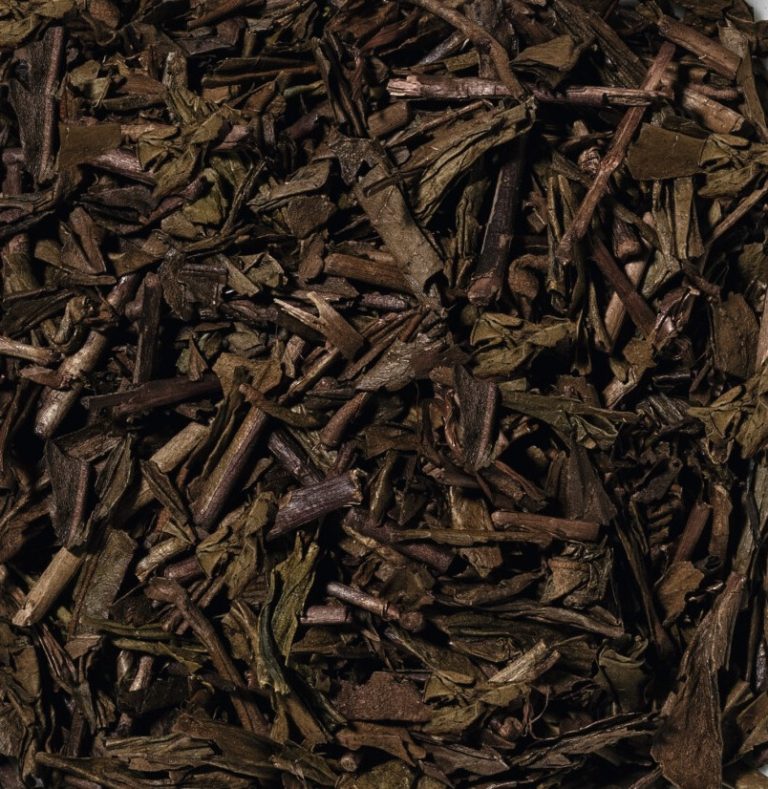 32003 Houjicha Sumire