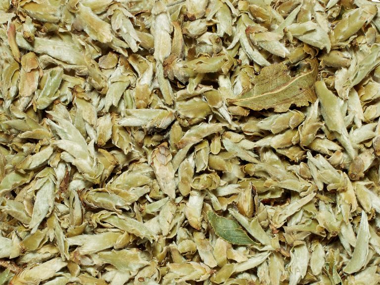 41003 Silver Bud Ya Bao