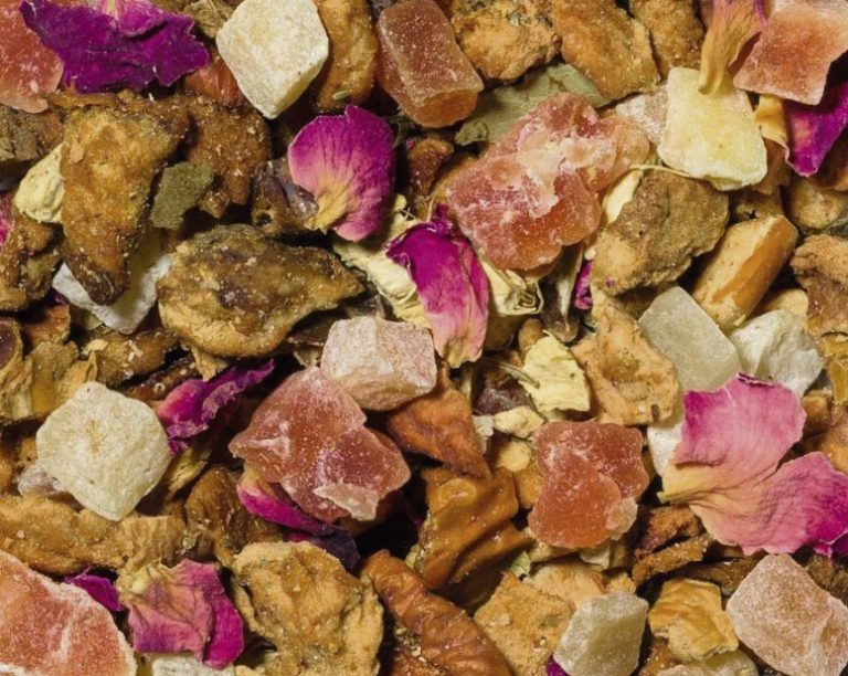 62002 Ingwerblümchen