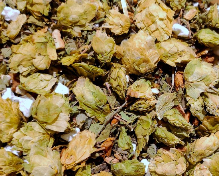 71027 Hopfentee Radler Style