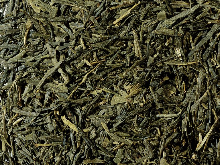 31007 Sencha