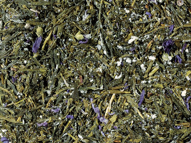 33002 Sencha Kombucha