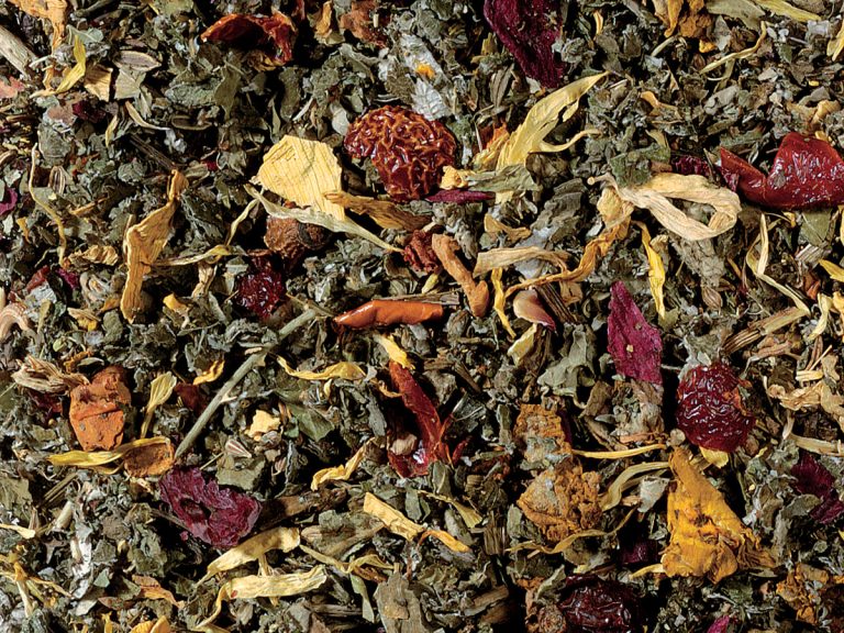 71013 Schlechtwettertee