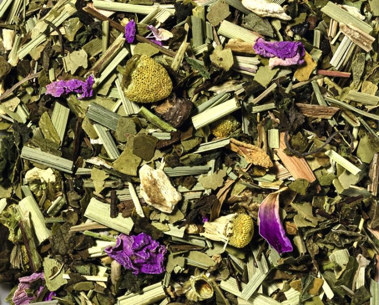 72016 Fastenbegleiter