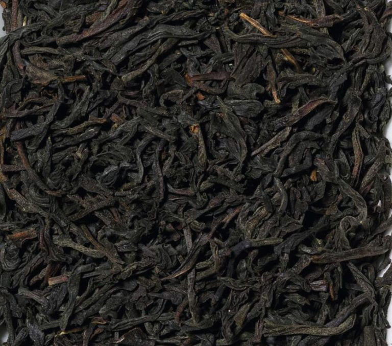 12003 Kenilworth OP1